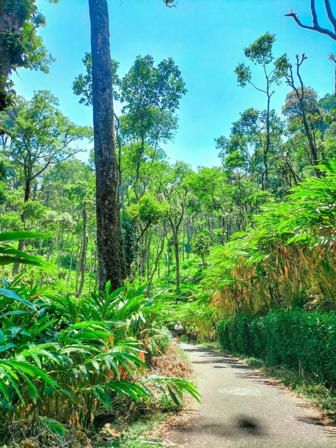 Mystic Mayapott, Thekkady Eksteriør bilde