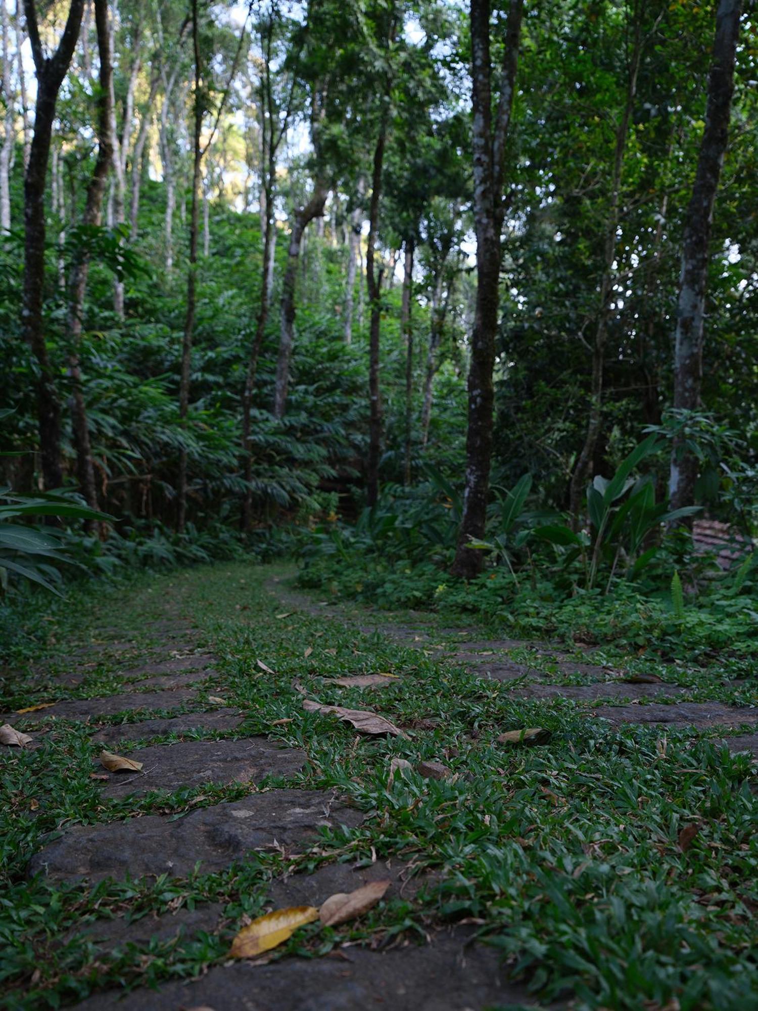 Mystic Mayapott, Thekkady Eksteriør bilde