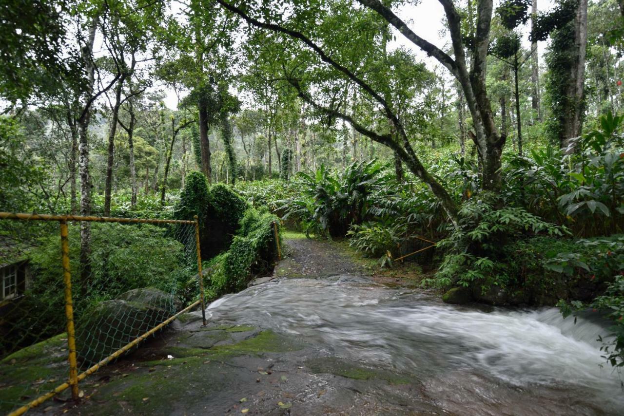 Mystic Mayapott, Thekkady Eksteriør bilde